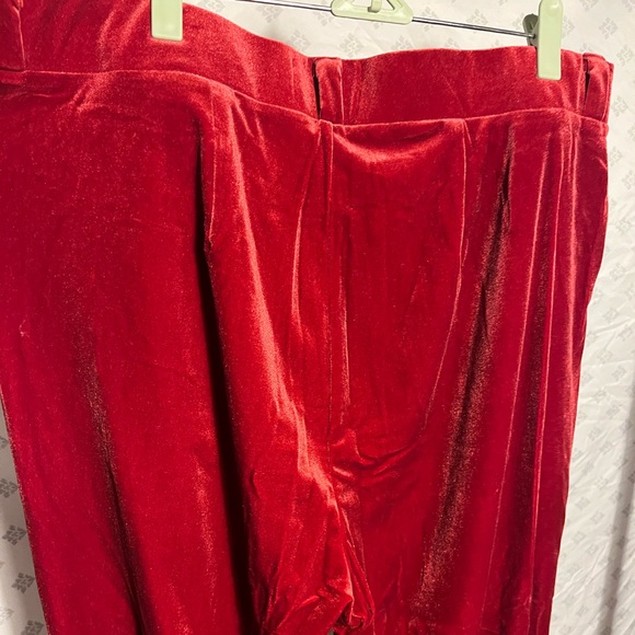 Velvet Red Pants - Picture 13 of 14